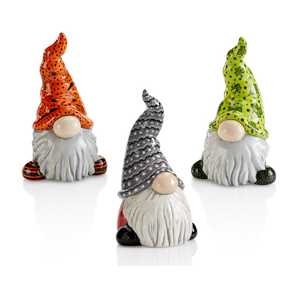 Gnome Party Animal